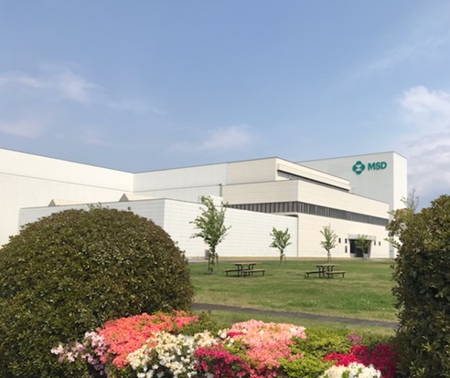 MSD株式会社　妻沼工場（埼玉県熊谷市）